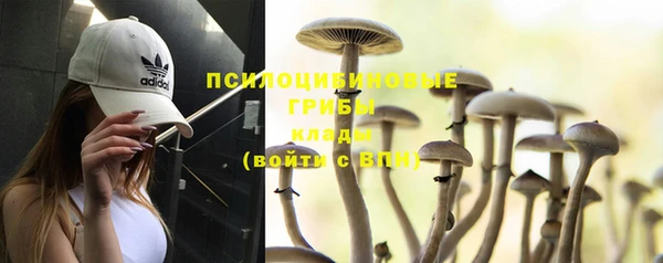 кокс Протвино