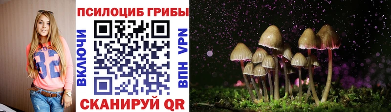 Псилоцибиновые грибы Magic Shrooms  Купино 